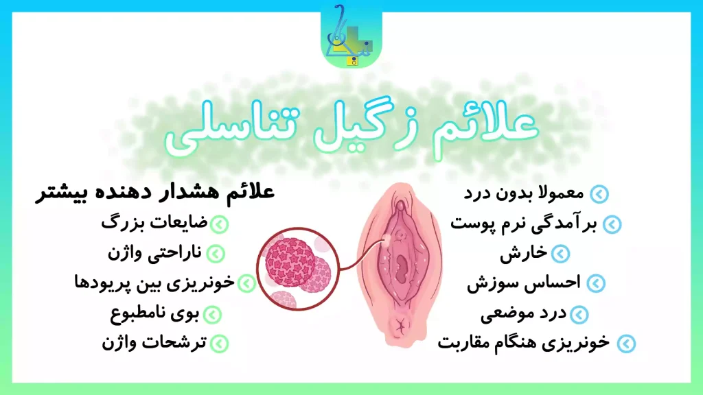 علائم و نشانه‌های زگیل تناسلی