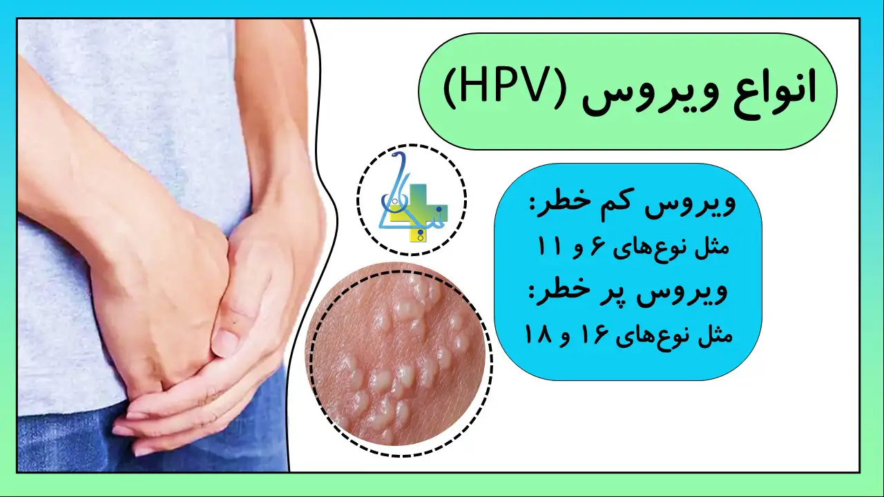 انواع ویروس اچ پی وی (HPV)